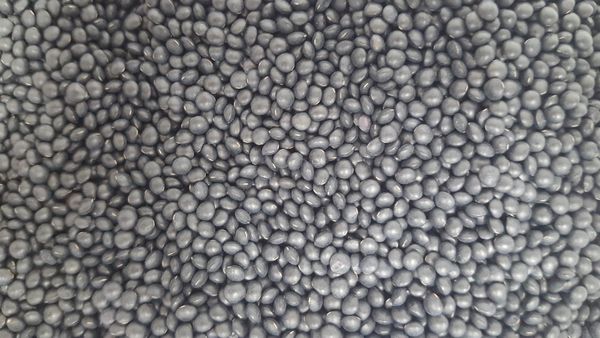 Organic Black Beluga Lentils from 캐나다 supplied by Stonehenge Global Seeds Inc - Black - Beluga Lentil 말린 렌틸