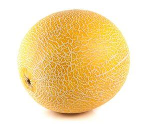 Melon from Turkiye supplied by Fernas Gida - Yellow Flesh Fresh Melon (Muskmelon)