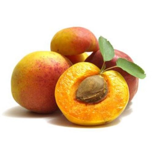 Fresh Apricot from 독일 supplied by Fruchthansa GmbH - Fresh (=Chilled) 신선 살구