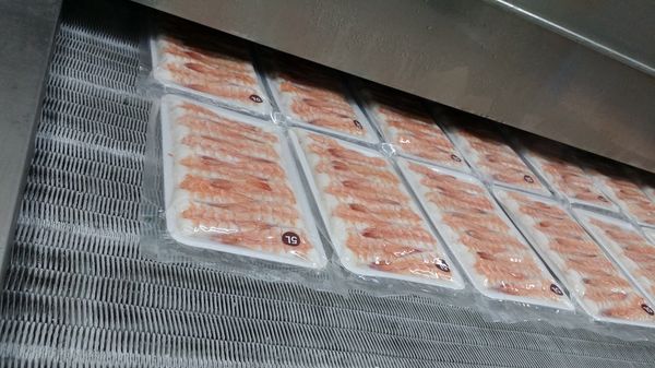 Frozen Shrimp from 미국 supplied by Golden Harvest Inc - Peeled - P&D Tail On (Peeled and Deveined Tail On) (=PND Tail On) 냉동 새우