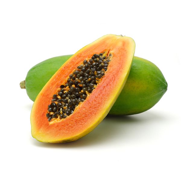 Papaya from India supplied by Jogrex NV - Green Fresh Papaya