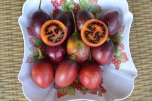 Fresh Tamarillo from 케냐 supplied by Tamarillo - Whole 타마릴로