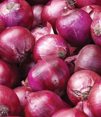 Fresh Red Onion from Spain supplied by Cebollas Iniesta - Agricola Villarrobledo - Red Fresh Onion
