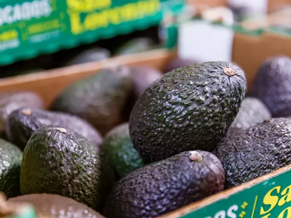 Avocado from Switzerland supplied by Giovanelli - Whole Fresh Avocado