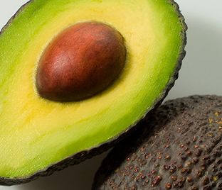 fresh avocado from Chile supplied by Fruchac Export S.A. - Dark Green Fresh Avocado
