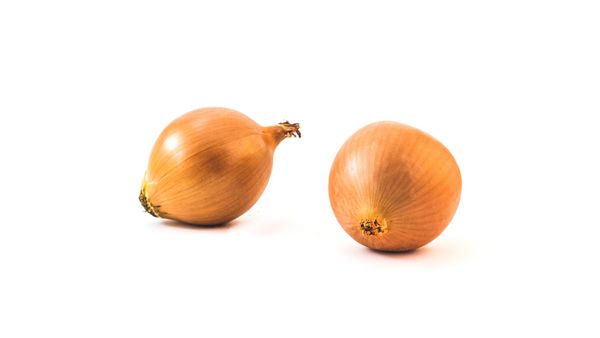 Onion from 아르헨티나 supplied by Campo Lavalle S.A. - Whole 신선 양파