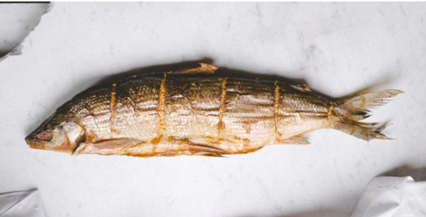 Smoked Whitefish from 미국 supplied by Northern Waters Smokehaus, Inc. - Whole (=In The Round) 냉동 화이트피쉬