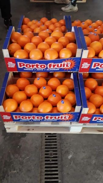 Fresh Whole Orange from 그리스 supplied by PORTOFRUIT SA - 주황색 신선 오렌지