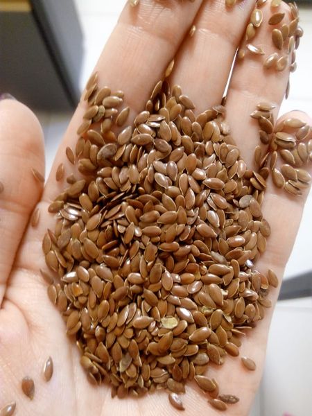 Flax Seed from 러시아 supplied by LLC Agrochiminvest - As per customer's request 아마 씨