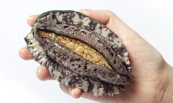 Abalone(Awabi) from 대한민국 supplied by THE PIRATES Co., Ltd. - Live 신선 전복