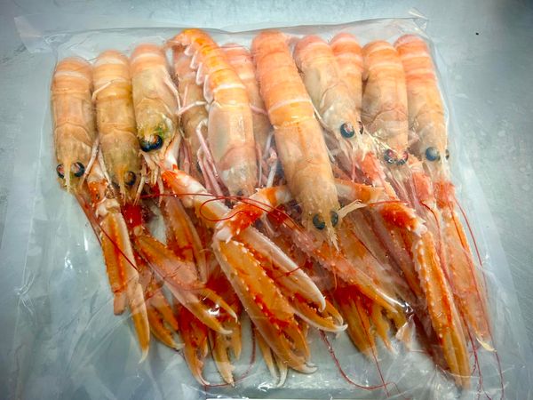 Shrimp from 영국 supplied by Crab Company Scotland Ltd - Vacuum Packed (=VAC) 냉동 새우