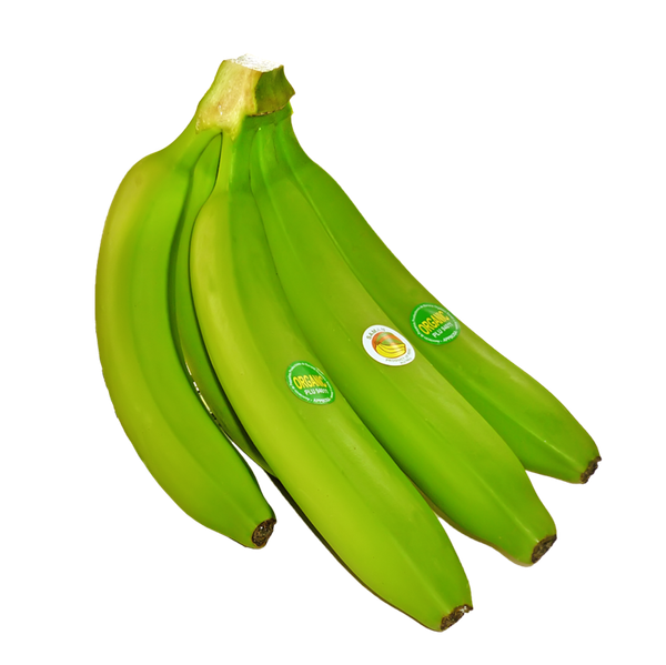 Cavendish Banana from Peru supplied by Cooperativa Agraria Apbosmam - Carton Box (20kg) (=Cardboard Box) Fresh Banana