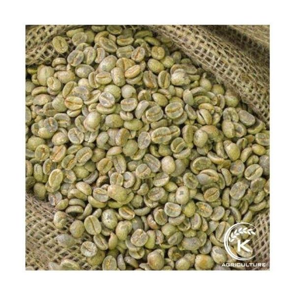 Vietnam Robusta Honey Processed Green Coffee Beans from 베트남 supplied by K Agriculture - S18 (=Screen 18) 생원두