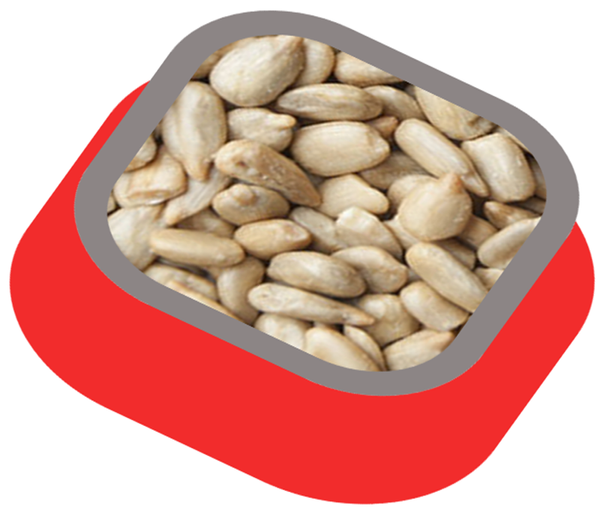 Sunflower Seed from 튀르키예 supplied by Tasty Foods - Hulled 해바라기 씨