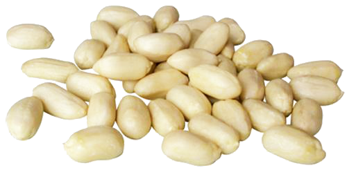 Peanut from 중국 supplied by Junan Fuqun Foodstuffs Co., Ltd. - In-shell 땅콩 알맹이