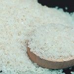 Rice from 이집트 supplied by Wakalex - 40% Broken 쌀