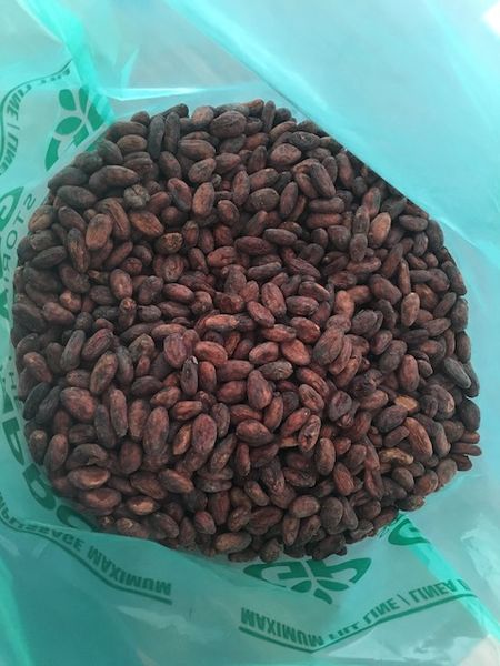 Cocoa bean from Colombia supplied by ALMA Trading S.A.S. - High Quality Cocoa Bean