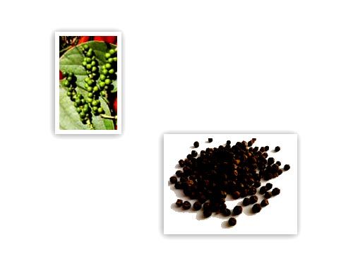 Black Pepper from 마다가스카르 supplied by Société Kalfane Fils - Black 흑후추 열매