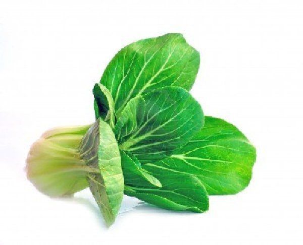 Chinese Cabbage from Greece supplied by Zisis Farm - Chinese Cabbage Fresh Cabbage