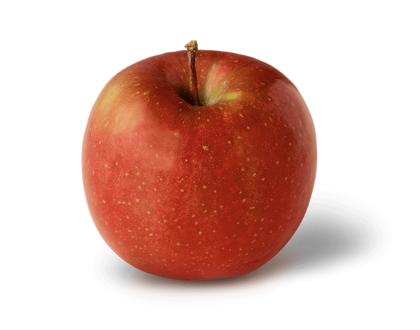 Apple from United States supplied by Lagoner Farms, Inc. - Whole Fresh Apple
