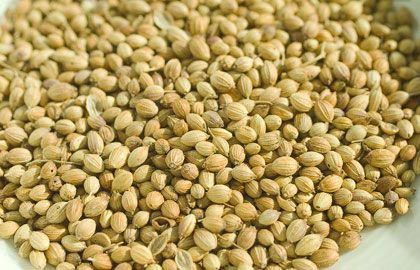 Coriander seeds from India supplied by PHINIX INTERNATIONAL - Coriander Seed Coriander