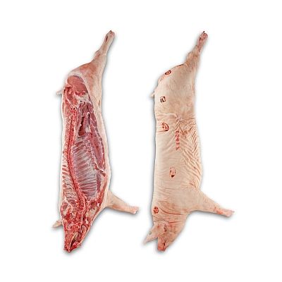Pork from 아르헨티나 supplied by Wade S.A. - 머리 없는 지육 신선 돼지고기 햄 및 목살