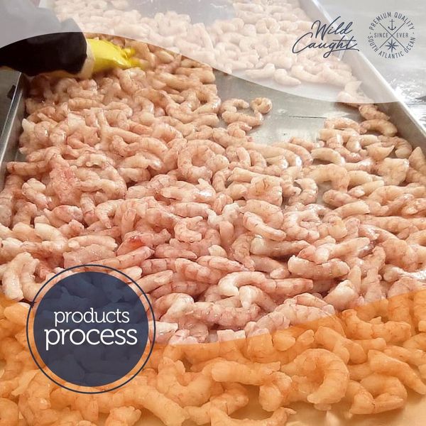 Fresh Argentine Red Shrimp from 아르헨티나 supplied by Ocean Biz - Peeled - P&D Tail On (Peeled and Deveined Tail On) (=PND Tail On) 냉동 새우