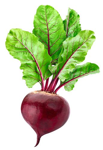 Fresh Beetroot from Israel supplied by Sapta Yehudit - Organic Fresh Beetroot