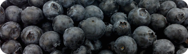 Blueberry (Fresh) from 칠레 supplied by Valle Maule S.A. - Plastic Punnets (=Clamshells) 신선 블루베리