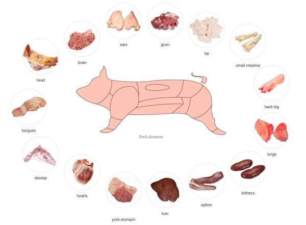 pork from Poland supplied by Jutar sp.j. - Frozen Other Frozen Pork Cuts