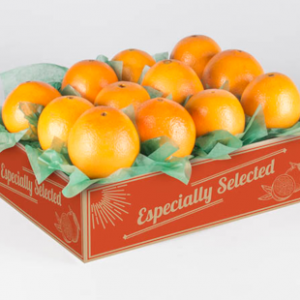 Orange from 파키스탄 supplied by AB AgriGrow Enterprises - 주황색 신선 오렌지