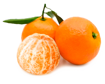 Clementine from Chile supplied by Exportadora Propal S.A. - Carton Box (=Cardboard Box) Fresh Clementine