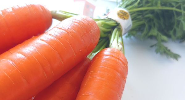 Carrots from 스페인 supplied by IDEAL FRUITS, S.L. - Orange 신선 당근