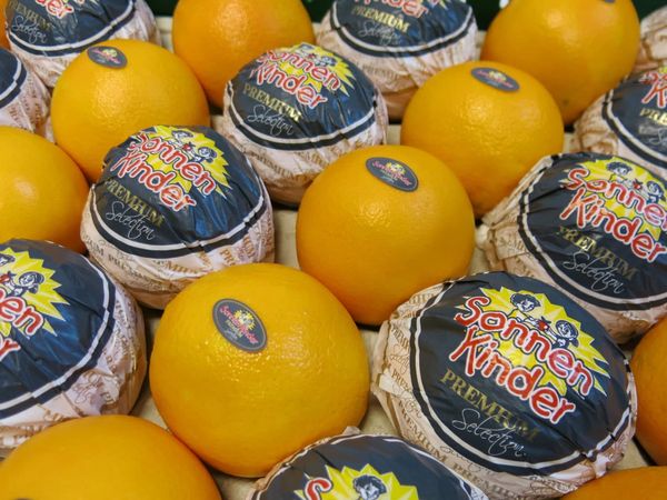 Fresh Lemon from 스페인 supplied by Llombart Handels mbH - Fino (=Primofiori=Mesero=Blano=Primofiore) 신선 레몬