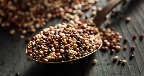 Amaranth from 미국 supplied by Bridgewell Agribusiness LLC - Roasted 아마란스가루