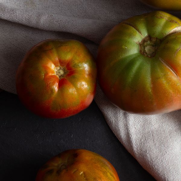 Fresh Whole Tomato from Spain supplied by NATURAL DE MONTAÑA, S.L. - Other Varieties - Valencia Fresh Tomato