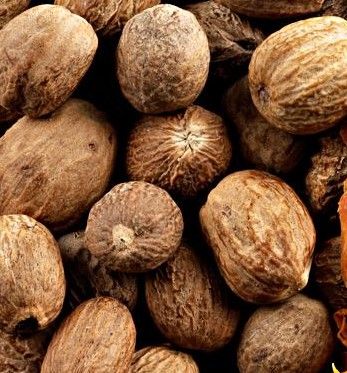 Nutmeg from 스리랑카 supplied by Devi Trading Company - Unspecified 통육두구