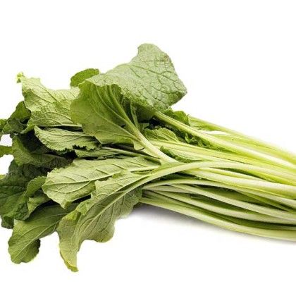 Fresh Borage from 스페인 supplied by Hermanos Mene - Whole 보리지