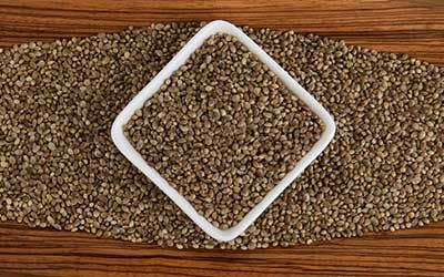 Hemp Seed from Canada supplied by Hemp Production Services (HPS) - Toasted Hemp Seed