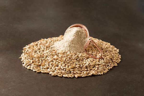 Malt from United States supplied by Great Western Malting - Caramel Malt Barley Malt