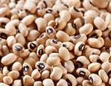 Black Eye Bean from 미얀마 [버마] supplied by Chan Myae Yoma Company Limited - White 말린 동부