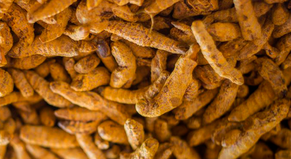 Turmeric from 브라질 supplied by 100 por Cento Raiz - Single Polished 튜메릭