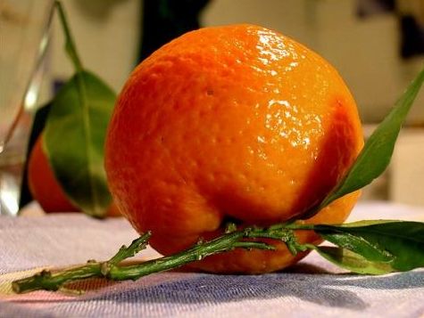 Mandarin (Kinnow) from Pakistan supplied by Naqshbandi Enterprises - Kinnow Fresh Mandarin