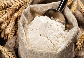 Flour and Semolina from 아랍 에미리트 연합국 supplied by Al Ghurair Foods - Durum Wheat Semolina 세몰리나
