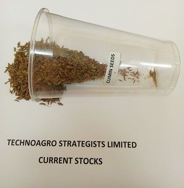 Cumin Seeds from Tanzania supplied by TechnoAgro Strategists Limited. - Brown Cumin Seed