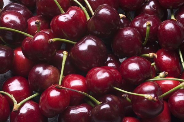 Fresh Sweet Cherry from 독일 supplied by Günaydin Trading GmbH - 스위트 체리 - 0090 지라트 신선 체리