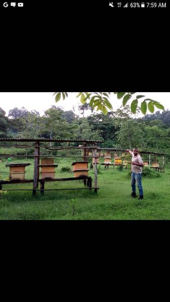 Organic Honey from 에티오피아 supplied by Bizuayehu Endale Import & Export - Organic 꿀