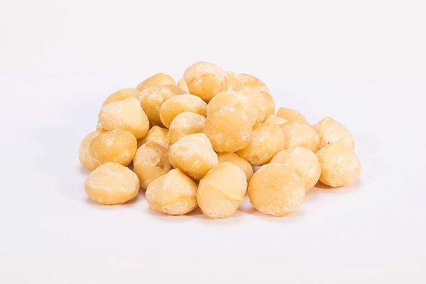 Raw Macadamia Kernel Style #1 from Guatemala supplied by Alimentos Selectos S.A: - Style 1 (17-20mm, min 90% Whole) Macadamia Kernel