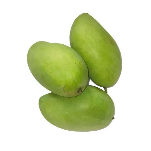Mango from 프랑스 supplied by Bonabio - Wild Mango 신선 망고