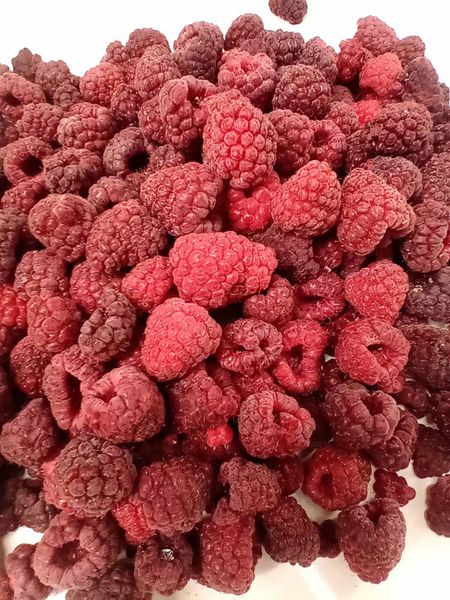 Raspberry IQF from 세르비아 supplied by Master food - Frozen - IQF (=Individual Quick Freezing) 신선 라즈베리